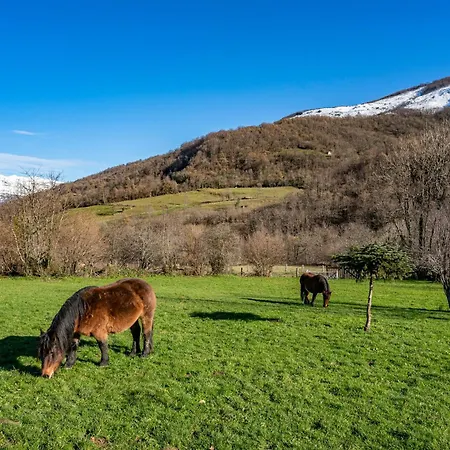 Valle De Bueida La Vega